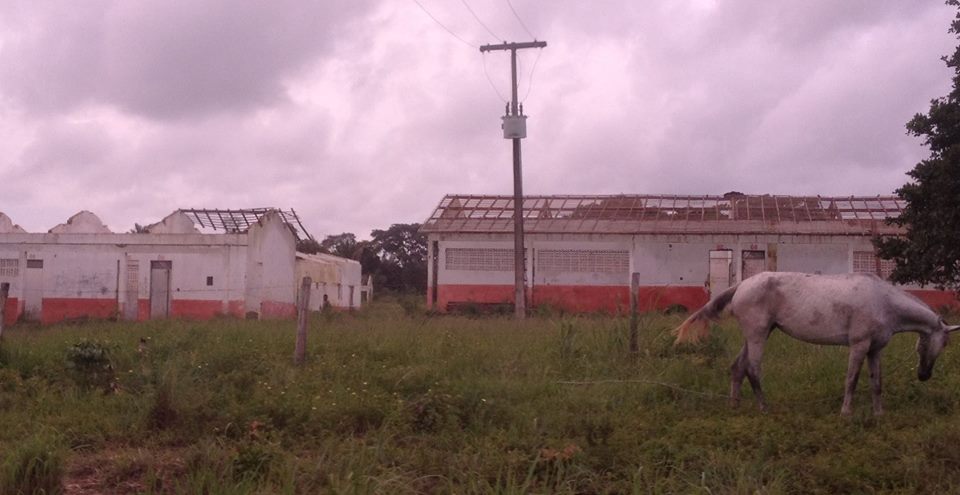 colegio umbelino 2