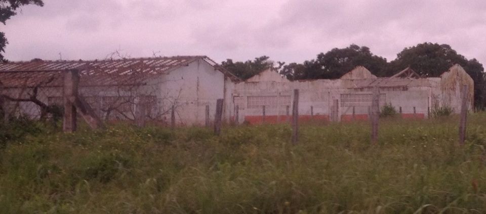 colegio umbelio 3
