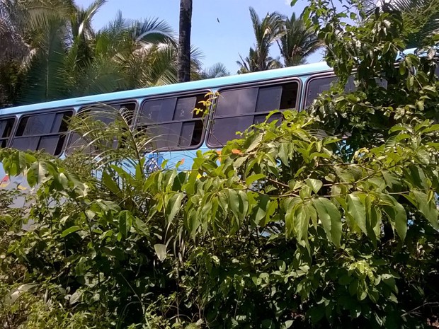 onibus