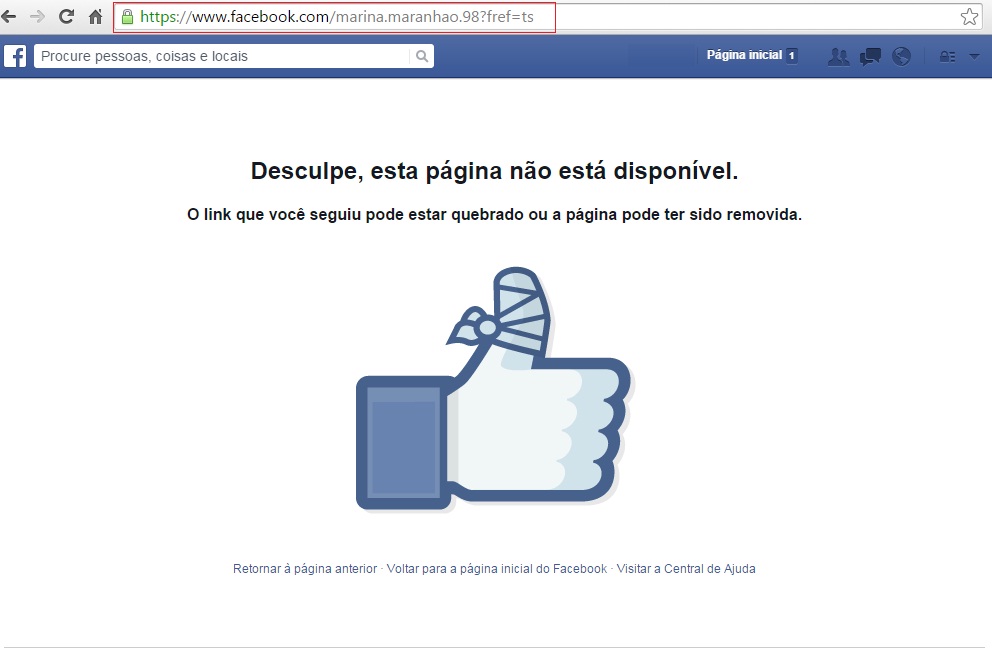 Repercussão da farsa levou os autores da trama a excluírem o falso perfil nas redes sociais